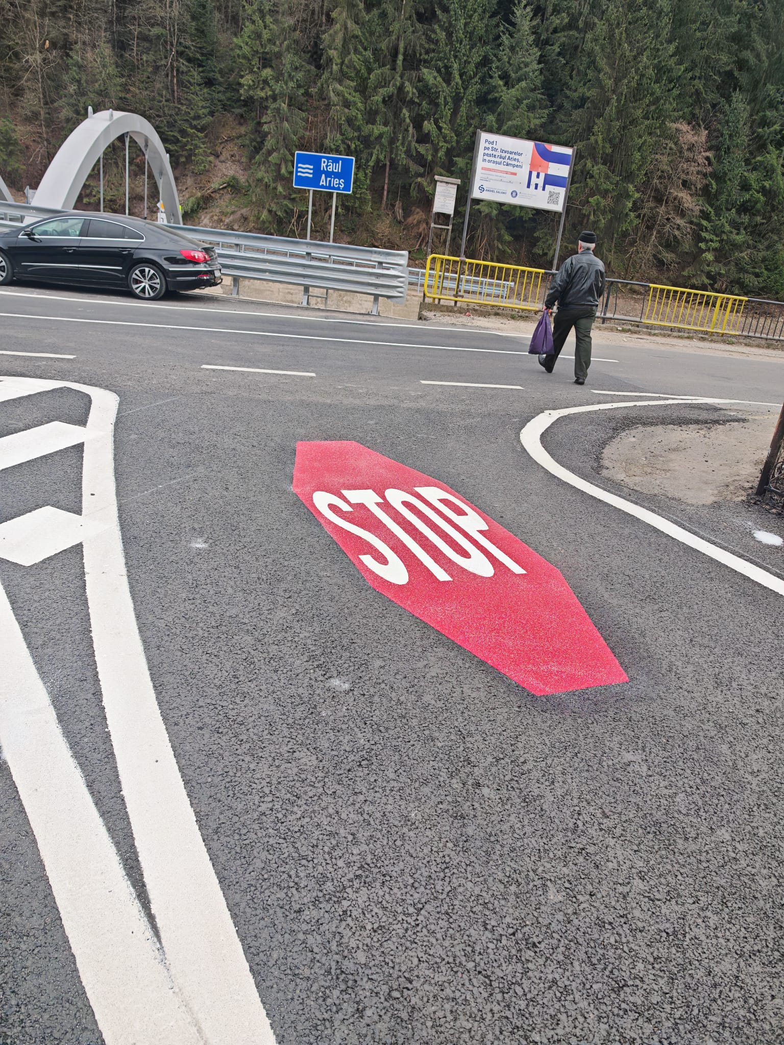 Marcaj STOP si ghidaje pe carosabil